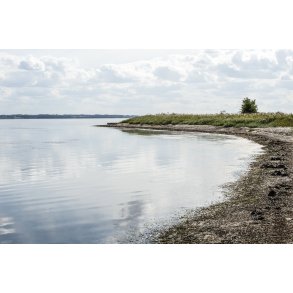 Louns Bredning ved Limfjorden