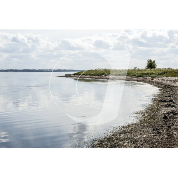 Louns Bredning ved Limfjorden