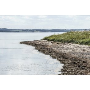 Louns Bredning ved Limfjorden