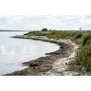 Louns Bredning ved Limfjorden