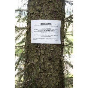 Fllesskabets Mindelund ved Kongensbro, tt p Gudenen