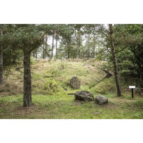 Fllesskabets Mindelund ved Kongensbro, tt p Gudenen