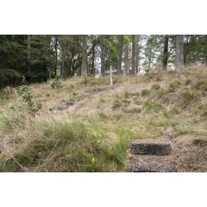 Fllesskabets Mindelund ved Kongensbro, tt p Gudenen