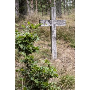 Fllesskabets Mindelund ved Kongensbro, tt p Gudenen