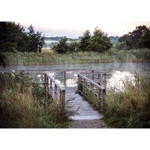 Morgendis i Hornb�k Enge