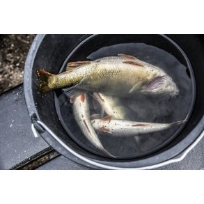 Fangede fisk ved Abore fiskekonkurrence i Guden�en ved Randers