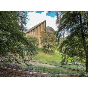 Tr�cirkel for at beskytte selvs�ede tr�er i Vestparken ved Sct. Clemens Kirke i Randers