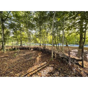 Naturhegn i Gethersparken ved Hoborvej i Randers