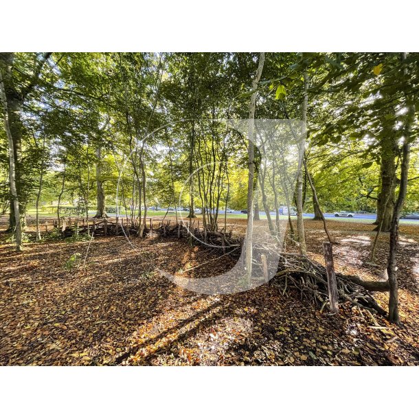 Naturhegn i Gethersparken ved Hoborvej i Randers