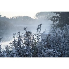 Frost morgen ved N�rre�en, t�t p� Guden�en ved Fladbro