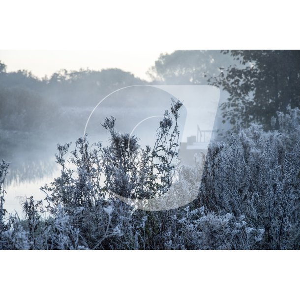 Frost morgen ved Nrreen, tt p Gudenen ved Fladbro