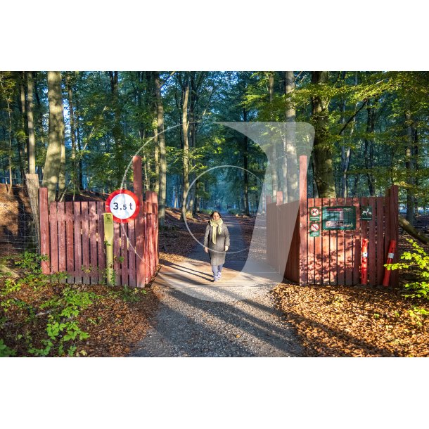 Efterrs morgen ved indgangen til Dyreparken i Fladbro