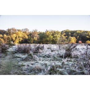 Frost morgen i Fladbro ved N�rre�en