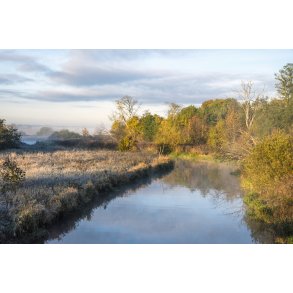 Efter�rs morgen ved N�rre�en t�t p� Fladbro