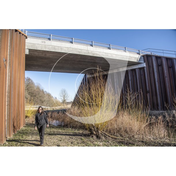 Den nye bro over Lilleen i forbindelse med  jernbanebroen mod Bidstrup ved Laurbjerg