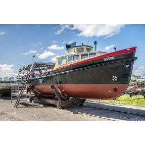 Lillebj�rn p� bedding i Randers havn