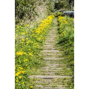 Den nedlagte Randers-Hadsund jernbane i Dronningborg
