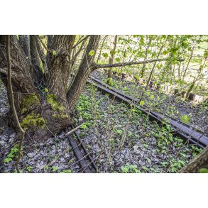 Tr� t�t ved Dronningborg Maskinfabrik p� den gl. Randers-Hadsund jernbane i Dronningborg