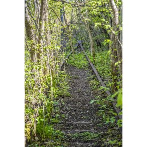 Sporskifte t�t ved Dronningborg Maskinfabrik p� den gl. Randers-Hadsund jernbane i Dronningborg