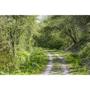 Den gl. Randers-Hadsund jernbane mellem Lem Trinbr�t og Gimming