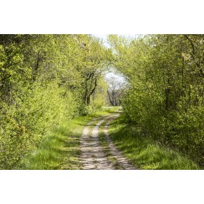 Gl. Randers-Hadsund jernbane lige f�r den krydser Vestrup vej i udkanten af Gimming