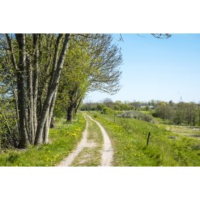 Gl. Randers-Hadsund jernbane p� vej mod Dronningborg ved Gimming