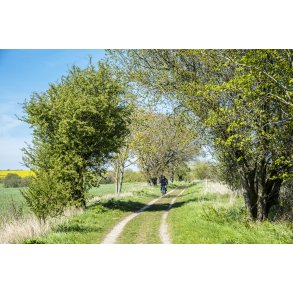 Gl. Randers-Hadsund jernbane p� vej fra Dronningborg mod Gimming