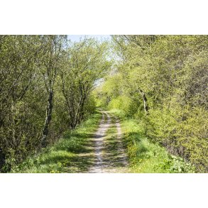 Gl. Randers-Hadsund jernbane i udkanten af Gimming