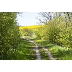 Gl. Randers-Hadsund jernbane mellem Gimming og Lem trinbr�t