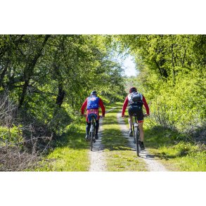 Motions cyklister p� den gl. Randers-Hadsund jernbane i skoven f�r Lem trinbr�t