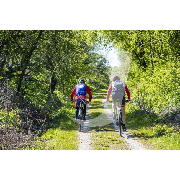 Motions cyklister p den gl. Randers-Hadsund jernbane i skoven fr Lem trinbrt