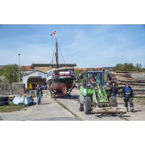 Lillebj�rn p� vej til s�s�tning i Randers havn