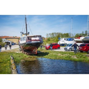 Lillebj�rn p� vej til s�s�tning i Randers havn