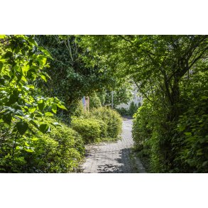 Sidesti fra Fredensgade ved trappen fra Vestergade.