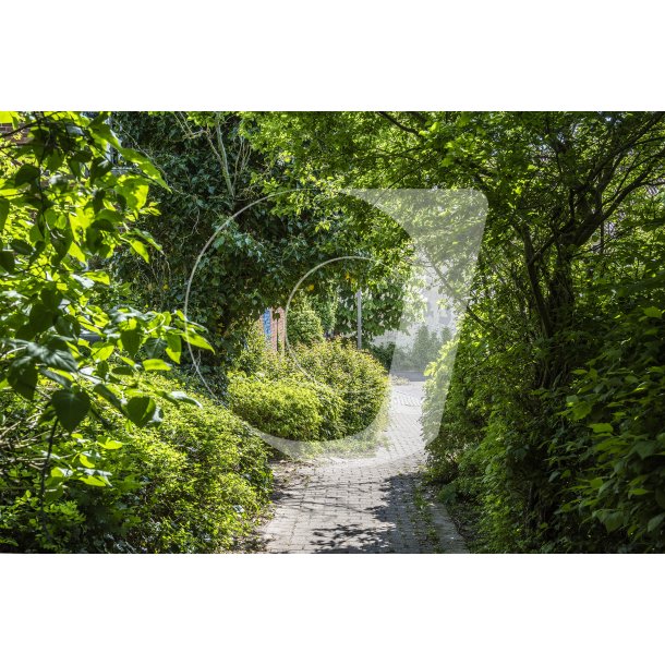 Sidesti fra Fredensgade ved trappen fra Vestergade.