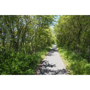 Gl. Randers-Hadsund jernbane t�t p� Lem trinbr�t mod Spentrup