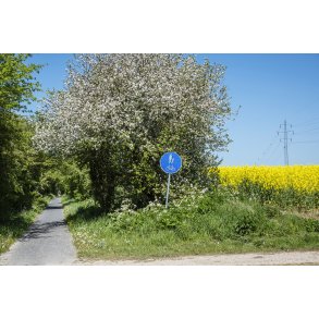 Gl. Randers-Hadsund jernbane mellem Lem trinbr�t og Spentrup