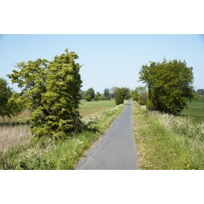 Gl. Randers-Hadsund jernbane mellem Lem trinbr�t og Spentrup