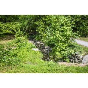 Ladeg�rdsb�kken ved B�kkestien i Randers