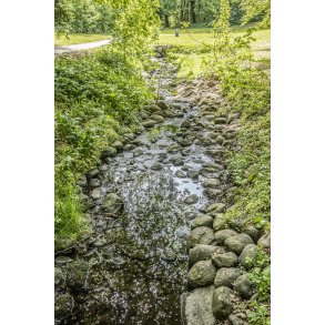 Ladeg�rdsb�kken ved B�kkestien i Randers