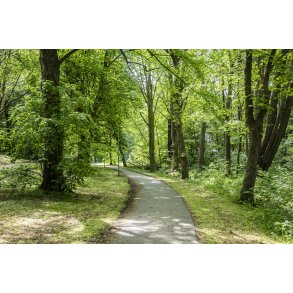 B�kkestien ved Ladeg�rdsb�kken i Randers