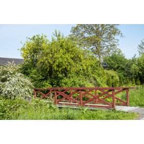 En af smukke r�de tr�broer over Ladeg�rdsb�kken ved B�kkestien i Randers