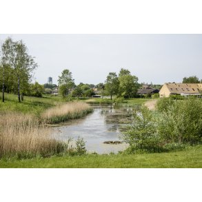 Fra denne lille s� i det nordlige Randers l�ber Ladeg�rdb�kken langs B�kkestien mod Dronningborg