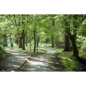 B�kkestien ved Ladeg�rdb�kken i Randers