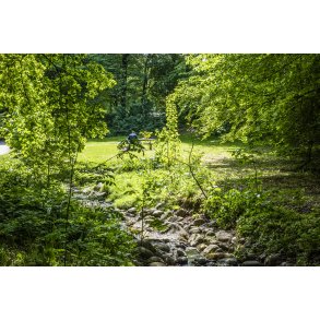 Afslapning p� gr�nt omr�de ved Ladeg�rdsb�kken, langs med B�kkestien i Randers