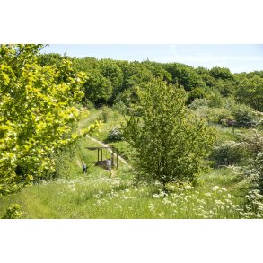Aktivitetsbane i Romalt Bakker ved Randers
