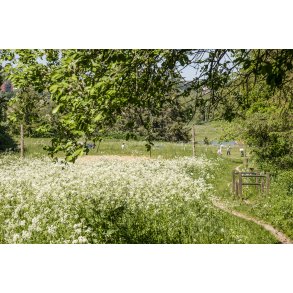 Naturomr�de og aktivitetsbane i Romalt Bakker ved Randers