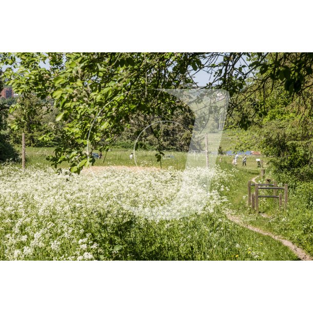 Naturomrde og aktivitetsbane i Romalt Bakker ved Randers