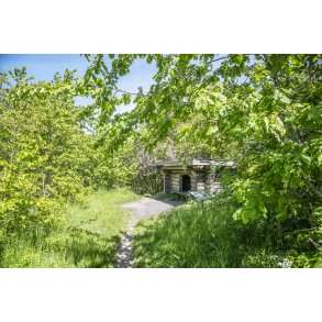 Shelter i naturomr�de Romalt Bakker ved Randers