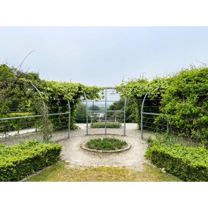 Vestparken i Randers en tidlig sommer morgen, lige f�r solen bryder frem